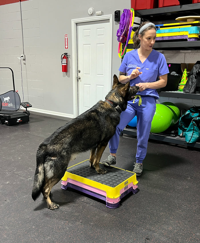 Dr. Erica Kirsch, DPT, CCRP
