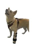 ExoPets Carpus Orthosis