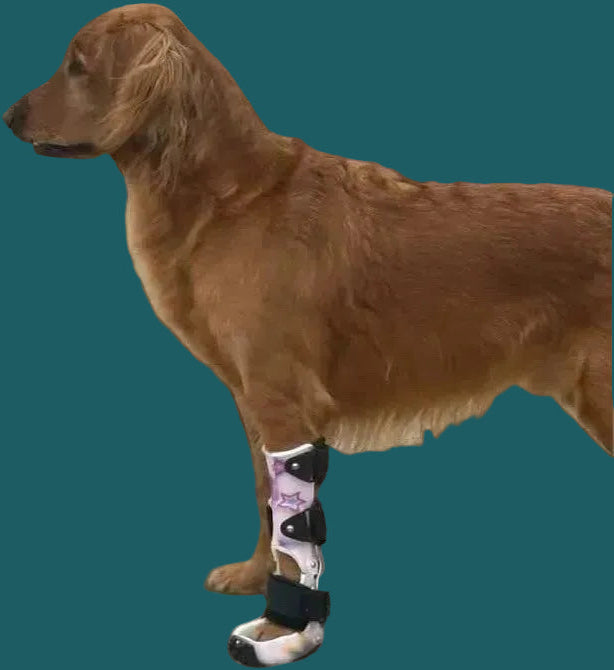ExoPets Carpus Orthosis