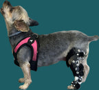 ExoPets Stifle Orthosis