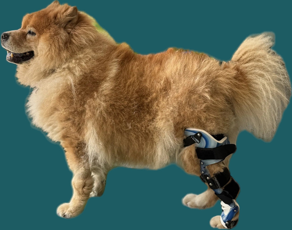 ExoPets Stifle Orthosis