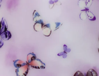 Purple-Butterfly